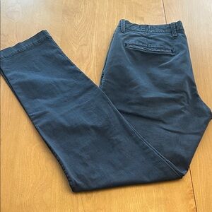 GAP Men's Navy Chino Pants